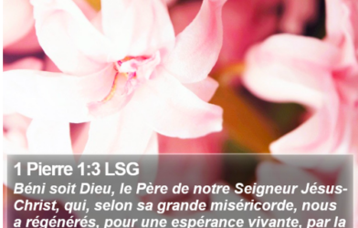 culte à Blois,  27 avril 2025