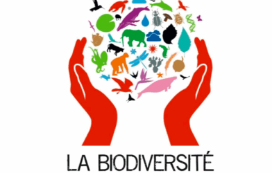 « Chemin faisant » au Muséum d’histoire naturelle de Blois
