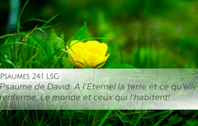 CULTIVONS NOTRE AVENIR : Bible et nature