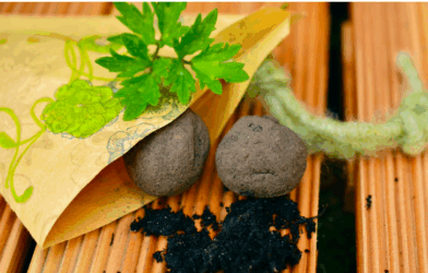 Cultivons notre avenir : semer la vie