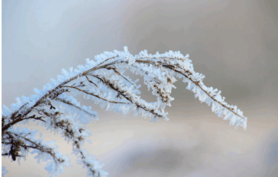 Suppression du culte du 28 décembre et reprise le 4 janvier 2026