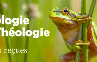 QUAND ON PARLE D’ÉCOLOGIE, ON OUBLIE LE SOCIAL/ LA CHARITÉ ENVERS LES PLUS PAUVRES