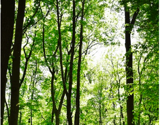 Prochain culte à Blois, 25 janvier 2026