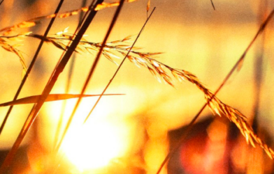 culte à Blois, 1er février 2026