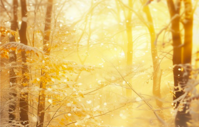 Une lumière qui ne s’éteint pas