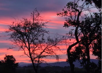 Par ta résurrection, tu nous rends vivants !