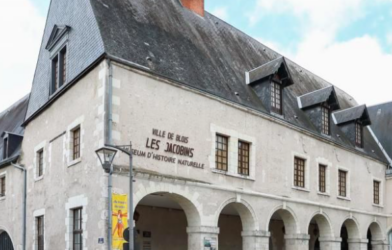 École biblique : rencontre reportée au mardi 7 juillet